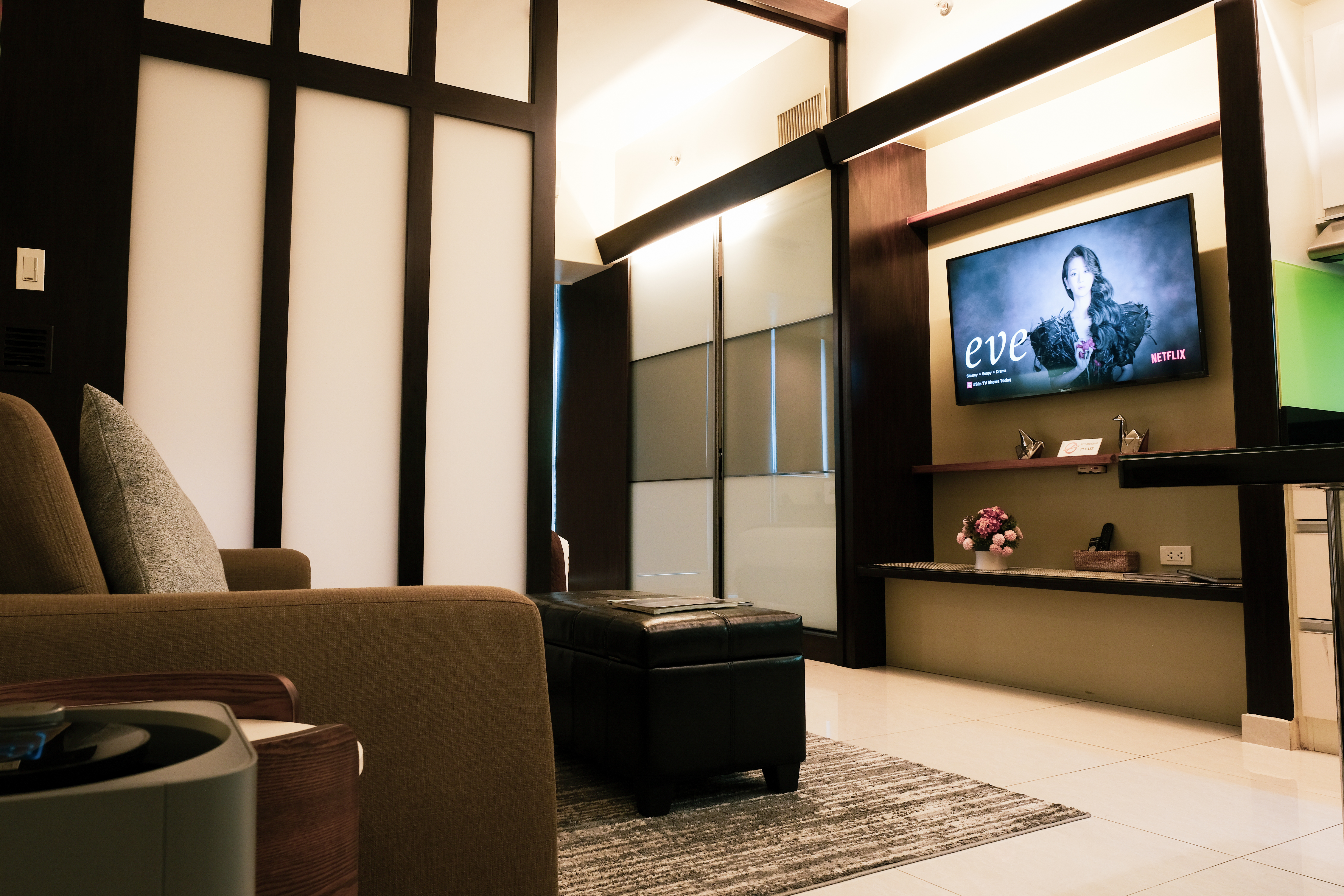 EQR Sofa TV